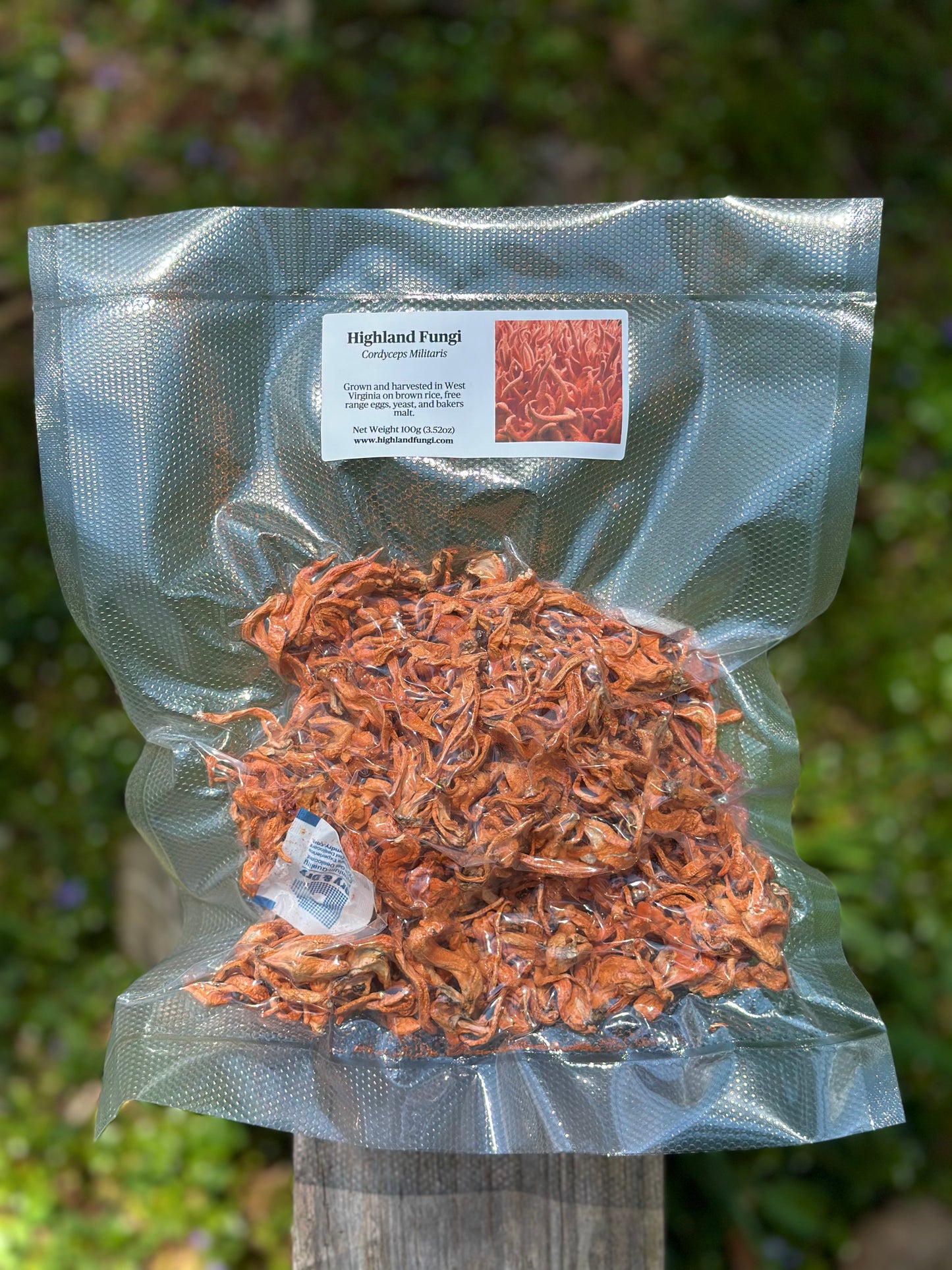 Cordyceps 100g Vacuum Packed